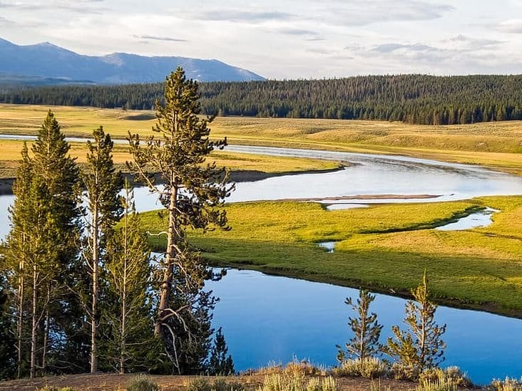 Yellowstone National Park: Where Nature Thrives
